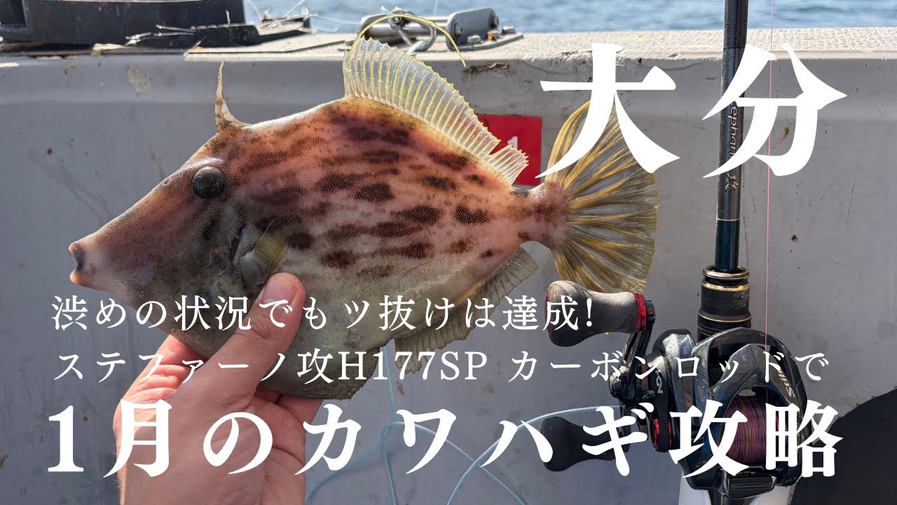 【大分×船カワハギ】1月の渋い状況をカーボンロッドの手感度で攻略