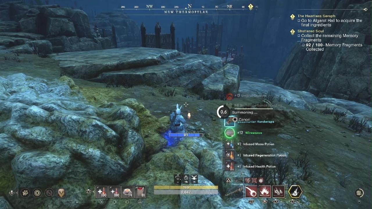 New World: Aeternum_ Acid pools chest run