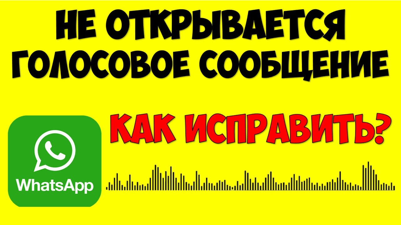 Не открывается голосовое сообщение в Ватсапе что делать как исправить ⚠️ Whatsapp не открывает аудио