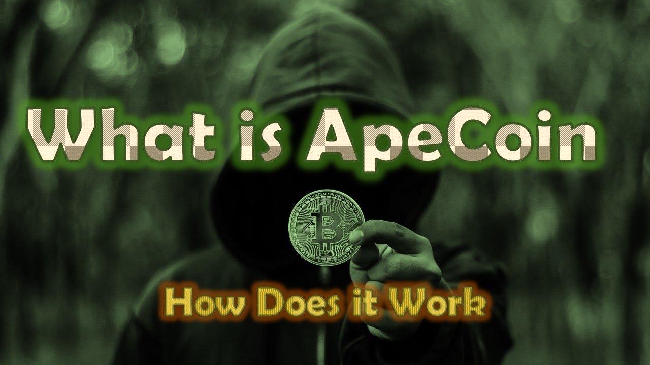 What Is ApeCoin and How Does It Work (Ape Coin Explained) | Coins You May Not Have Heard Of!