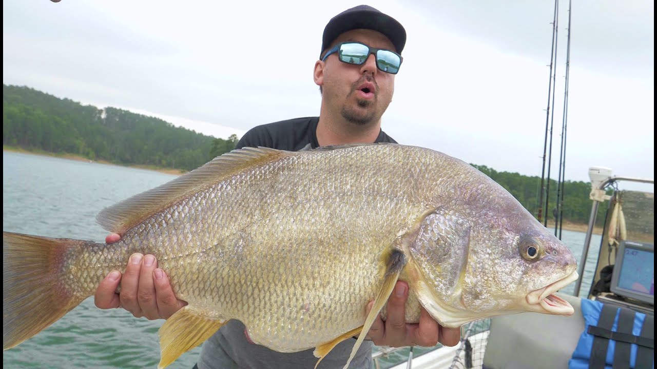 Roadfish - Saison 1 - Épisode 7 - Roadtrip aux États-Unis - Bar rayé en Arkansas