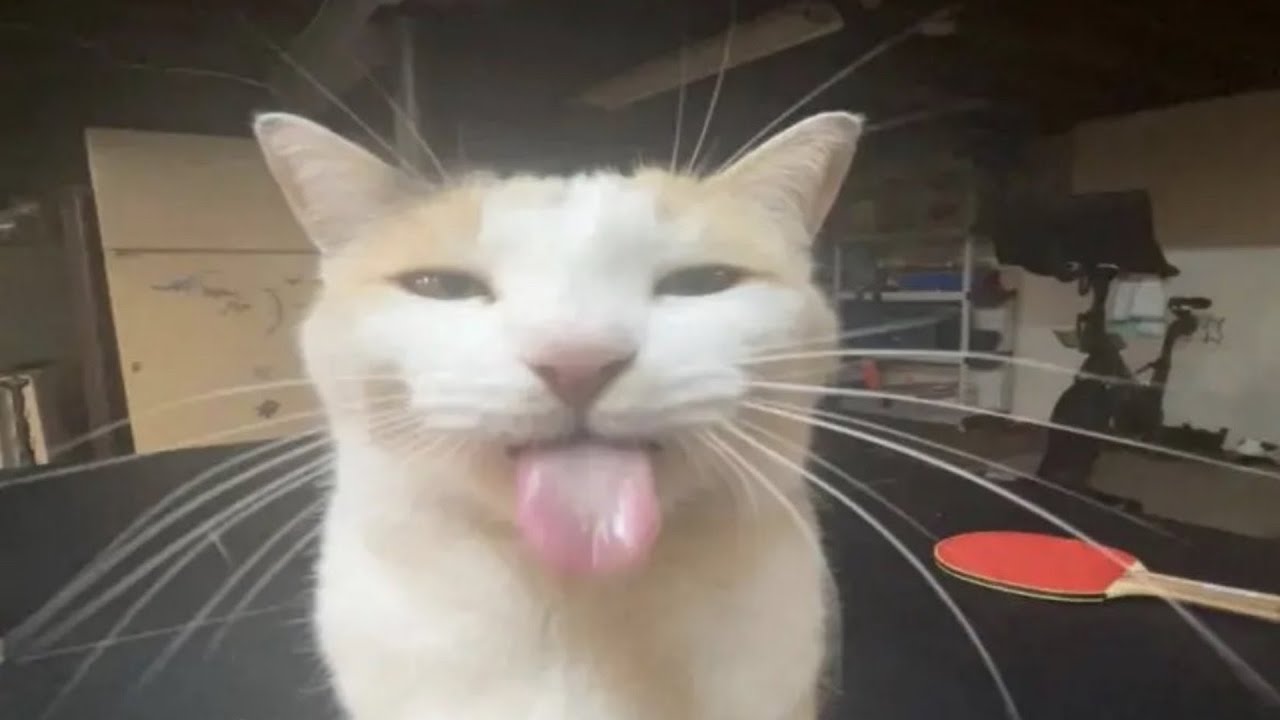By request, soad portrayed by vine 2