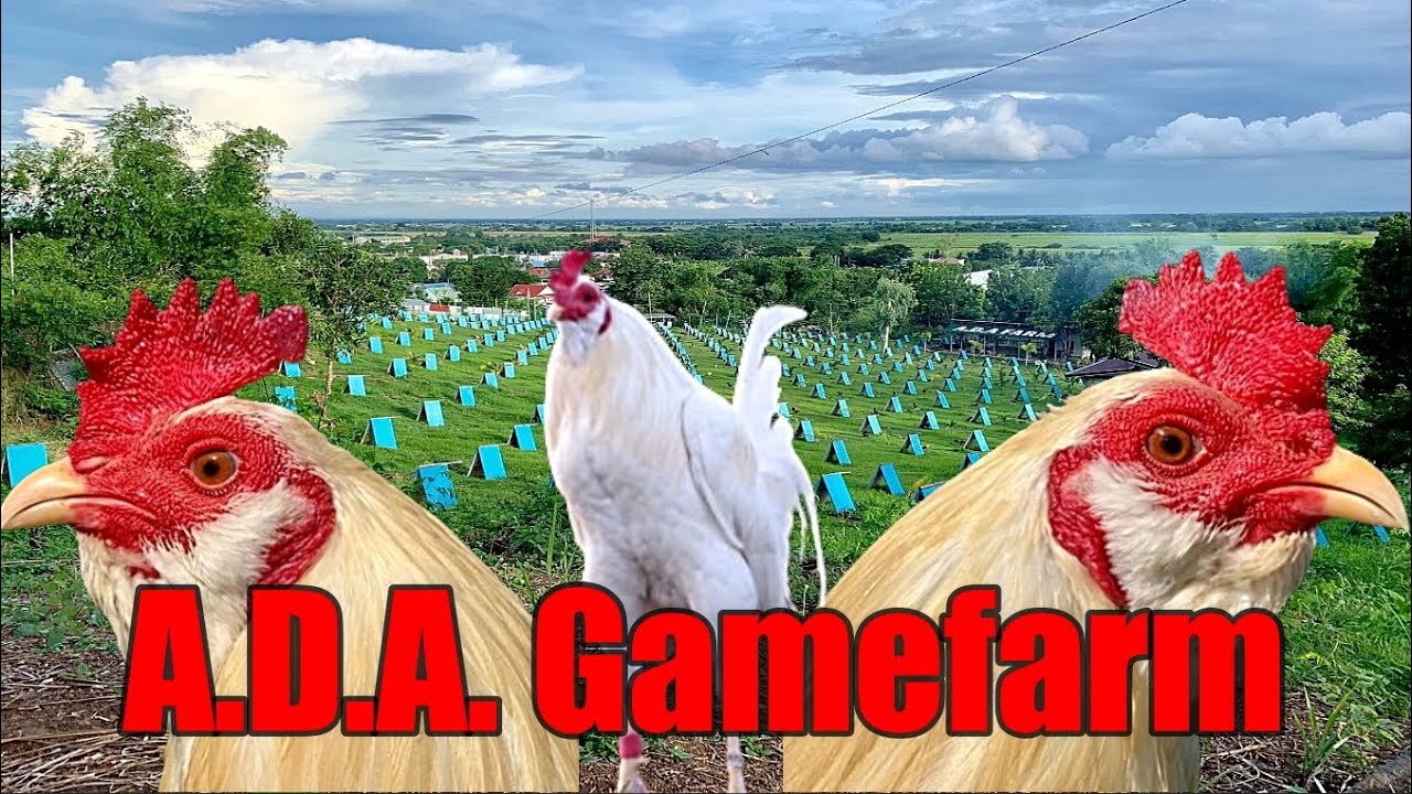 Lets Visit The Farm Of A.D.A. Gamefarm