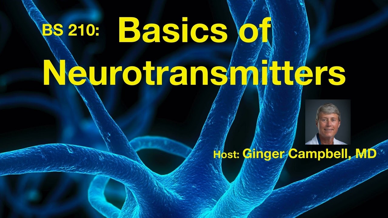 BS 210 Introduction to Neurotransmitters