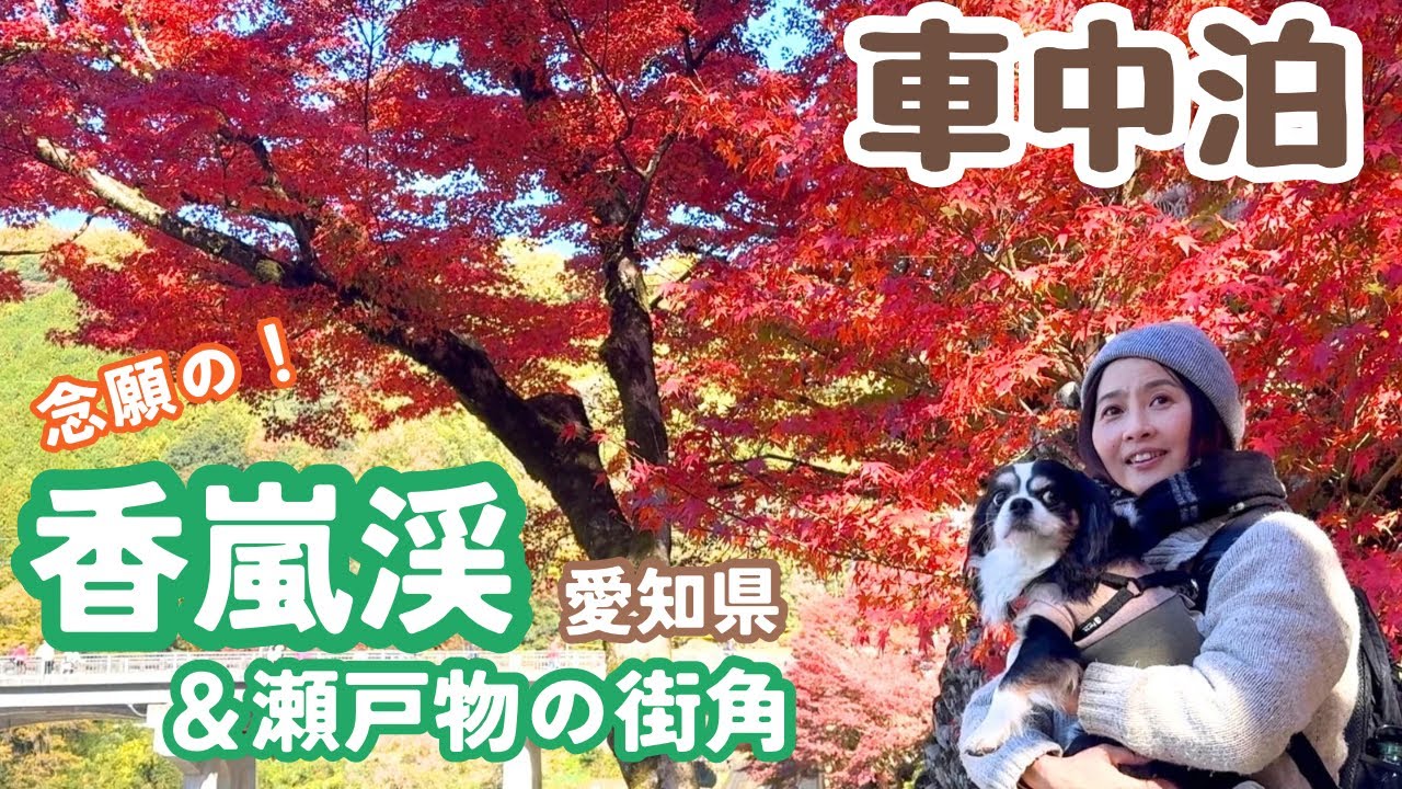 息を呑むほどに美しい紅に染まる木々と陶器に彩られた街。香嵐渓と瀬戸の街へ。50代看護師と犬1匹でめぐる愛知県の紅葉めぐり車中泊の旅。香嵐渓 | 岩屋堂公園 | 釜垣の小径 | 足助の街並み