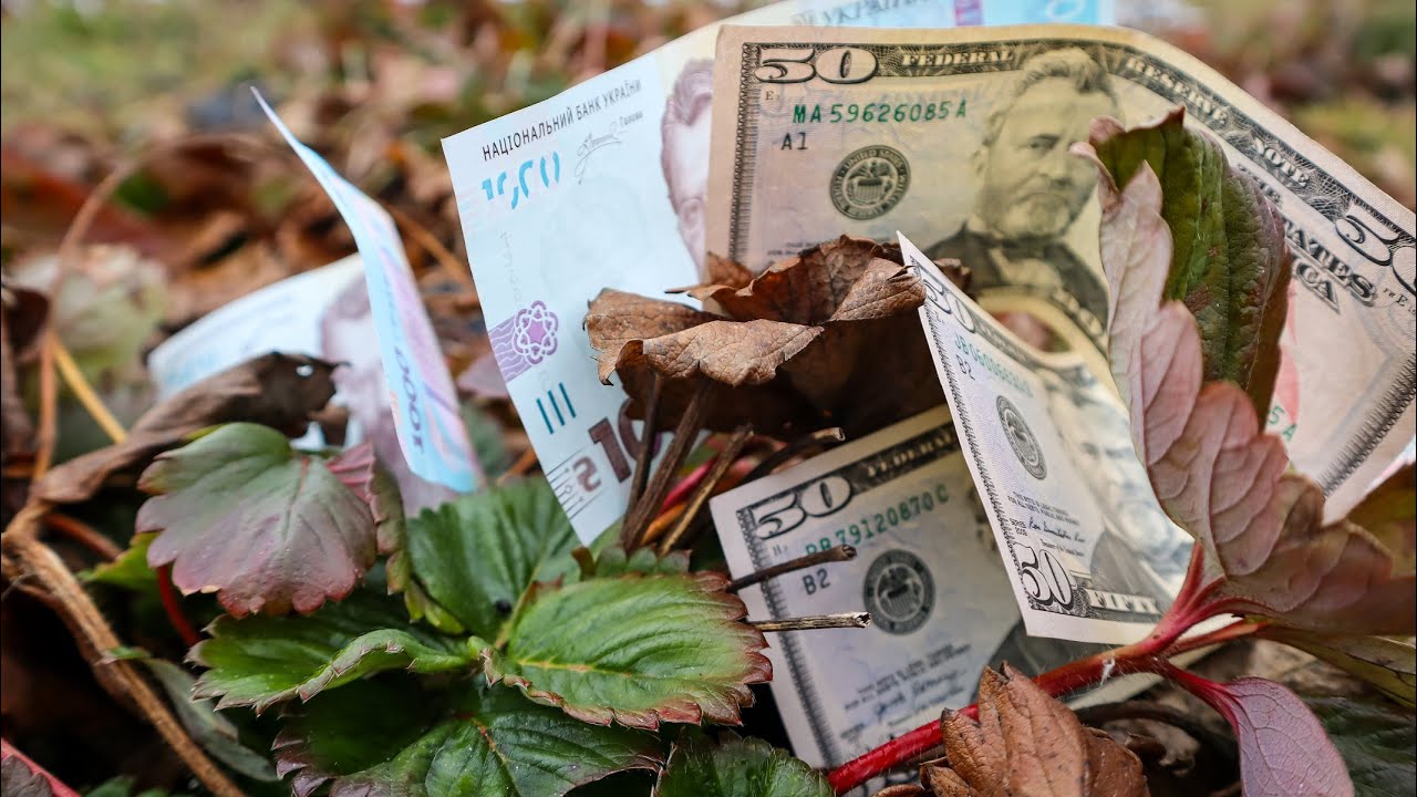 10 РОКІВ Вирощую полуницю на Продаж і Що я зрозумів?