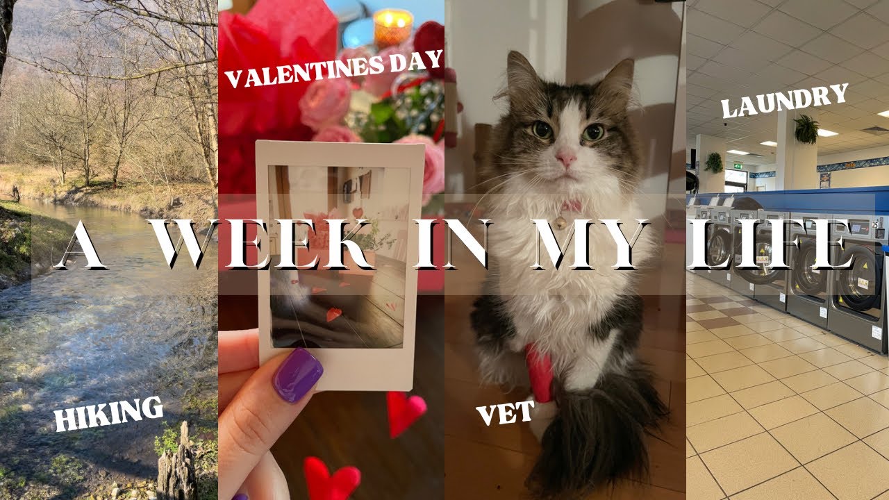 WEEK IN MY LIFE AS A MILITARY SPOUSE | AIR FORCE WIFE LIVING OVERSEAS