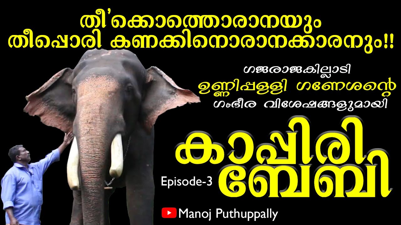 ഉശിരുള്ള പാലാക്കാരൻ ഉണ്ണിപ്പിള്ളി ഗണേശന്റെ അതിഗംഭീര വിശേഷങ്ങളുമായി കാപ്പിരി ബേബി | Kappiri Baby |