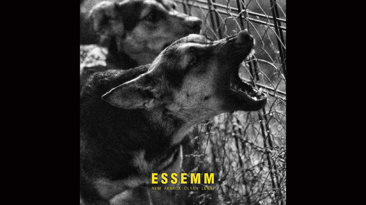 Essemm - Nem akarok olyan lenni (Audio)
