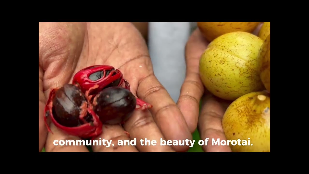 MOROTAI FUN RUN - 14 April 2026