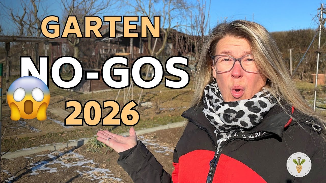 DAS hätte ich gern als Gartenanfänger gewusst! 😱 5 essbare Pflanzen, die den Garten übernommen haben