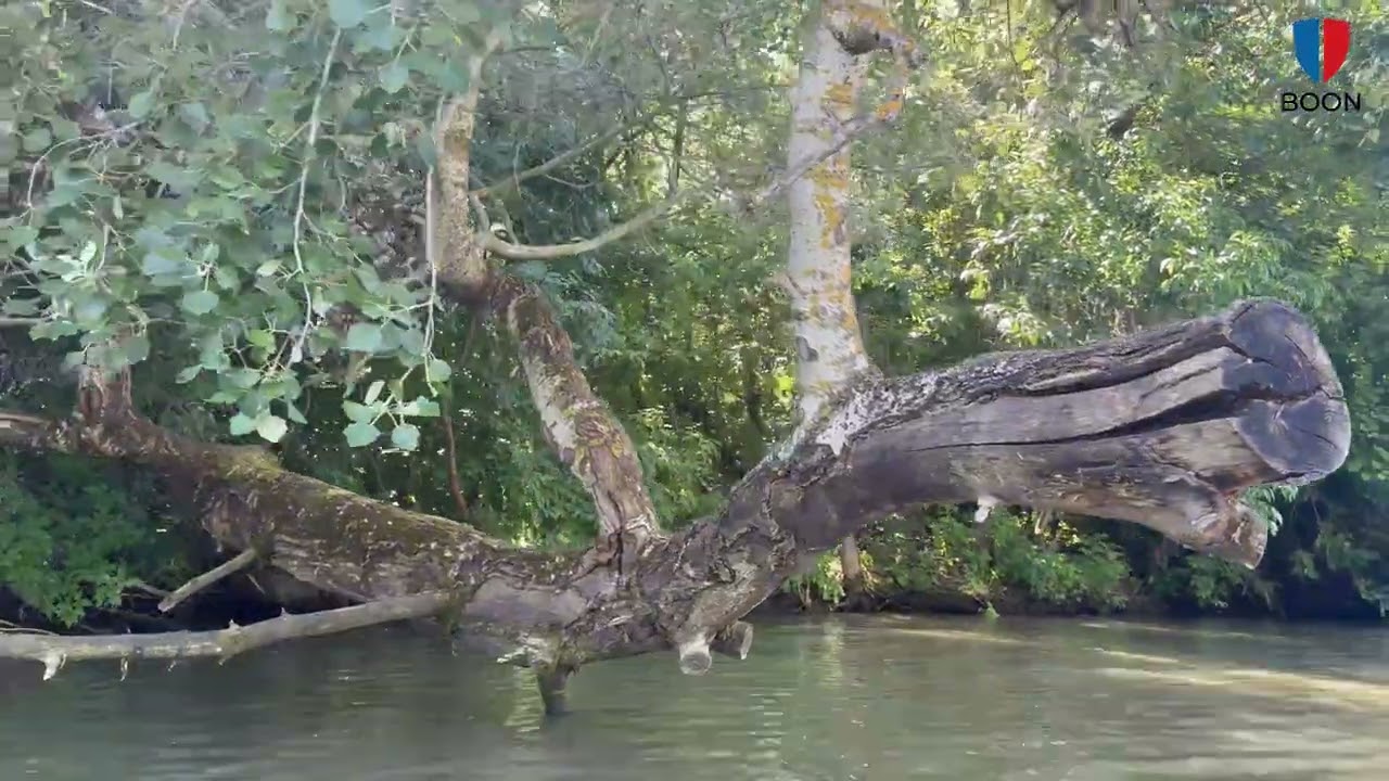 Tisza-tavi nyaralás