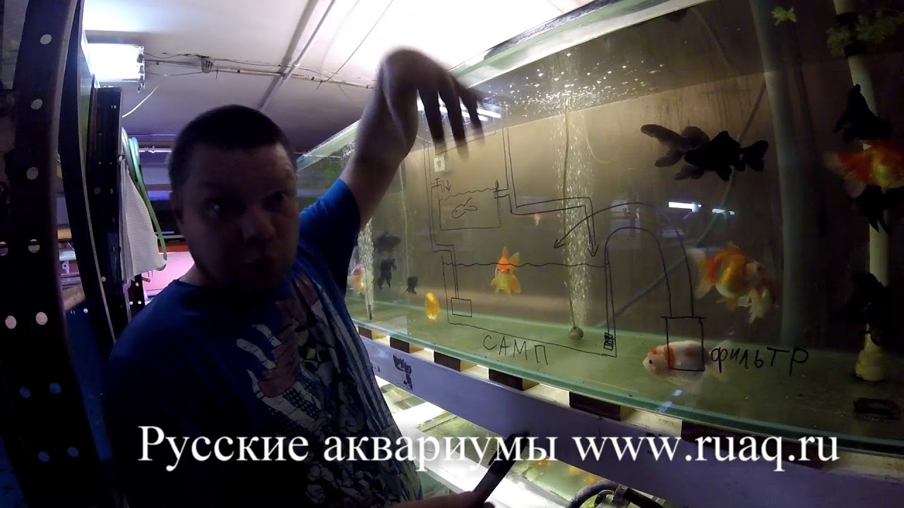 УЗВ, САМП, ЗУМпФ, Наша проточная система (малечница)