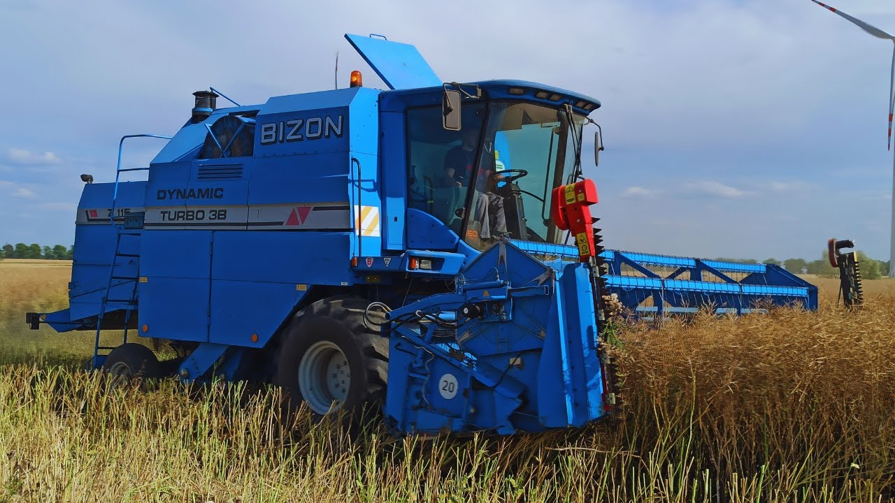 Bizon Dynamic w rzepaku 2023!!