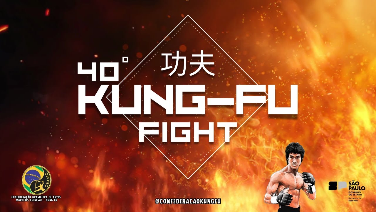 40&ordm; KUNG-FU FIGHT