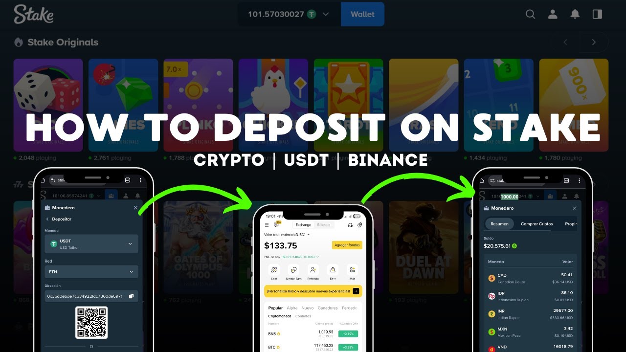 How to Deposit Money on Stake | USDT, Crypto, Binance