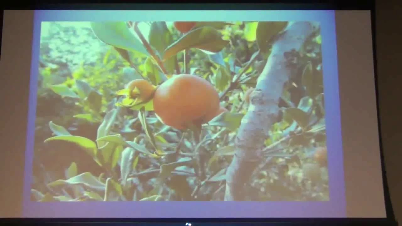 Ben Porier - Myrtaceae FoF 2015