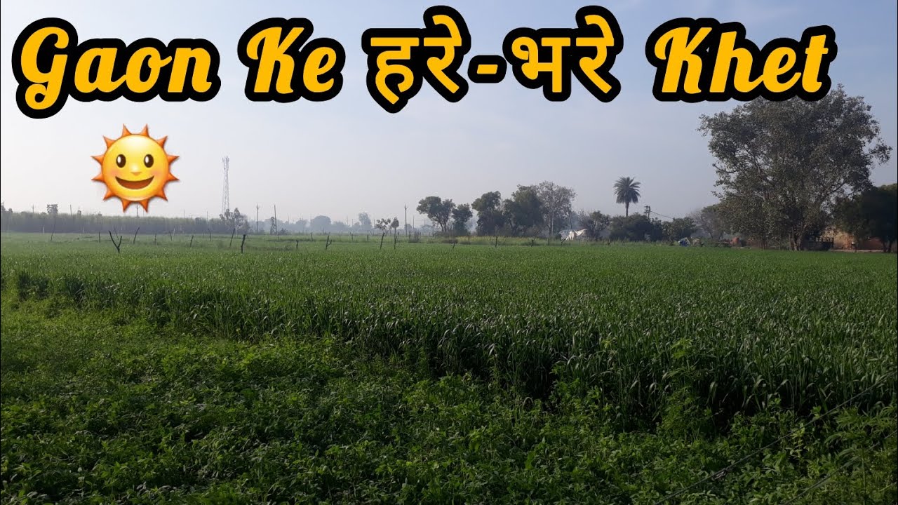 Gaon ke Hare bhare Khet | 🌞