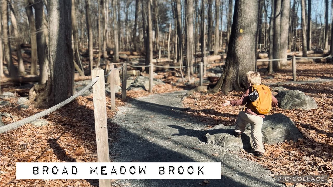 Broad Meadow Brook- Worcester, MA 2023