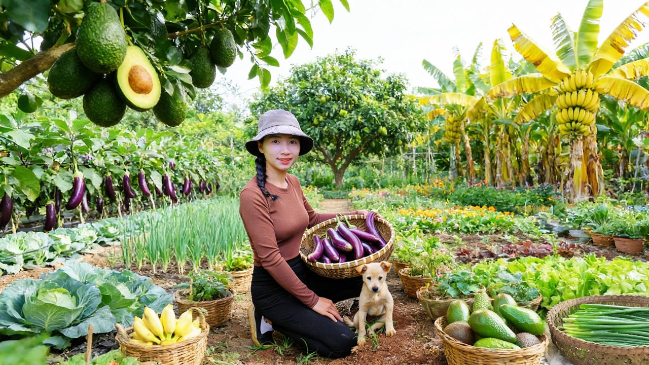 Harvest, Sell and Cook With  Eggplants, Cabbage, Green Onions, Avocados, Bananas - Farm Life