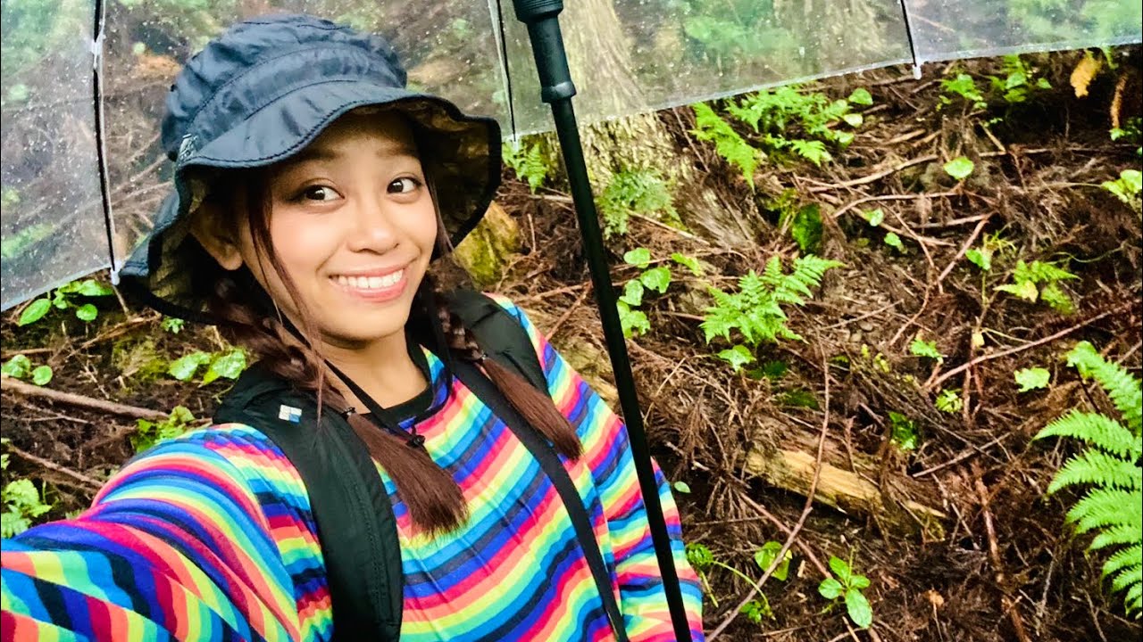 岩の回廊を雨登山...‼︎【嶽の森山 和歌山県古座川町】ふらんっと登山#46 