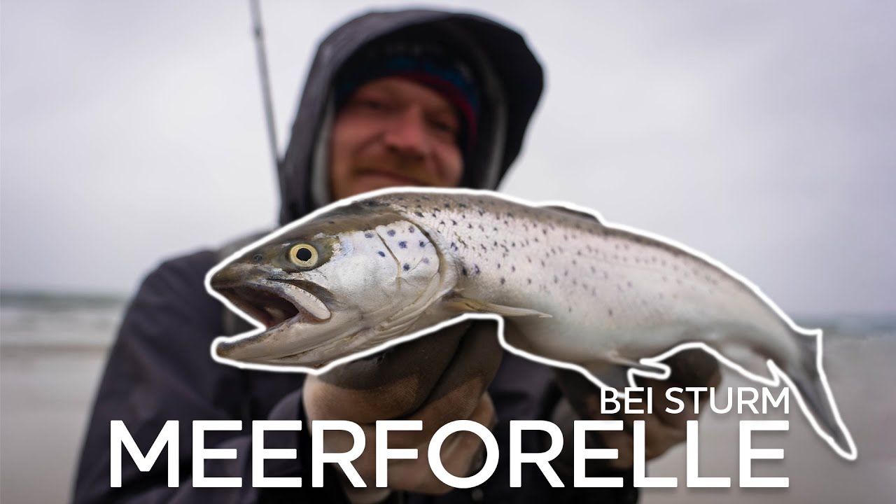 Bei Sturm auf Meerforelle - Tipps & Tricks f&uuml;r Plan B | Westin Fishing (Deutsch)