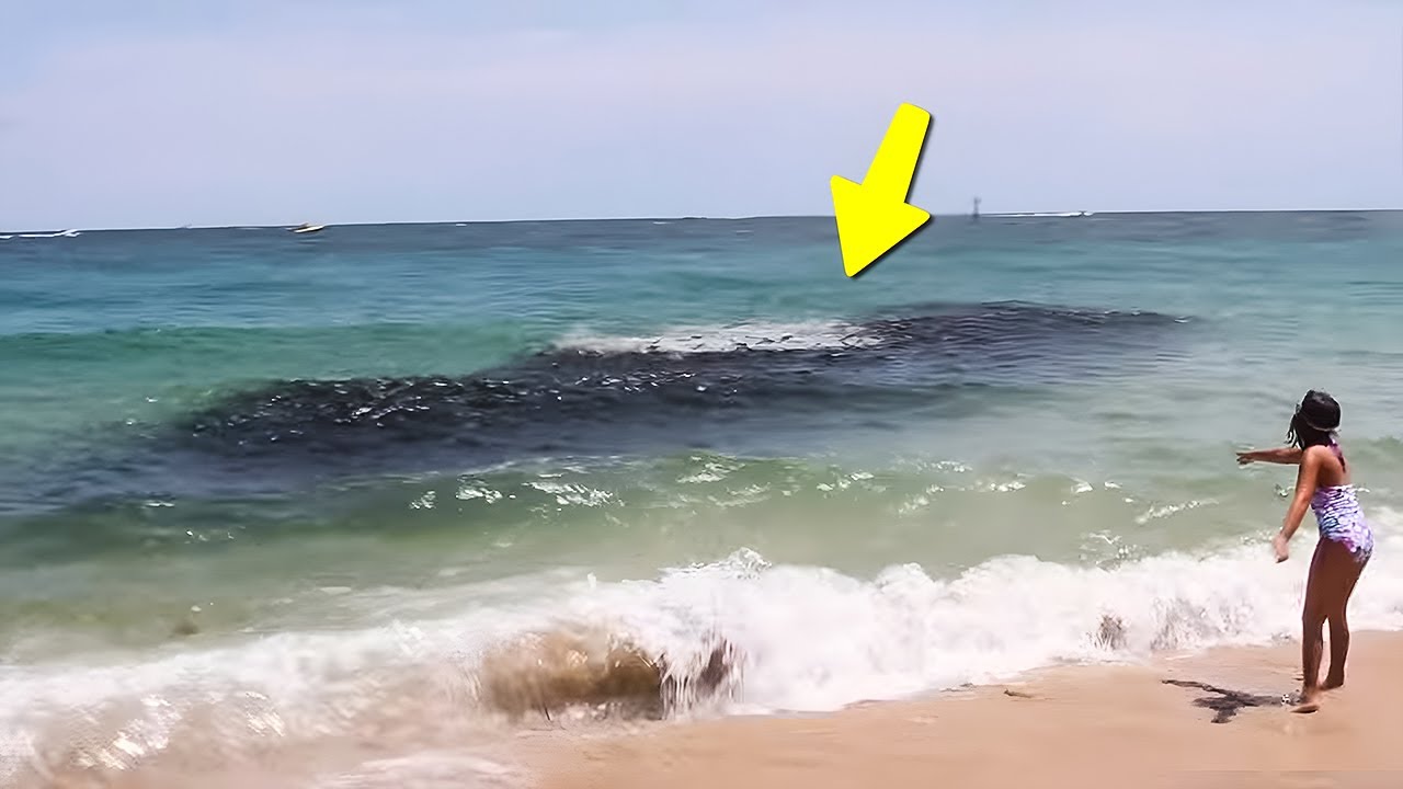 Momentos Incríveis Gravados Pelas Câmeras