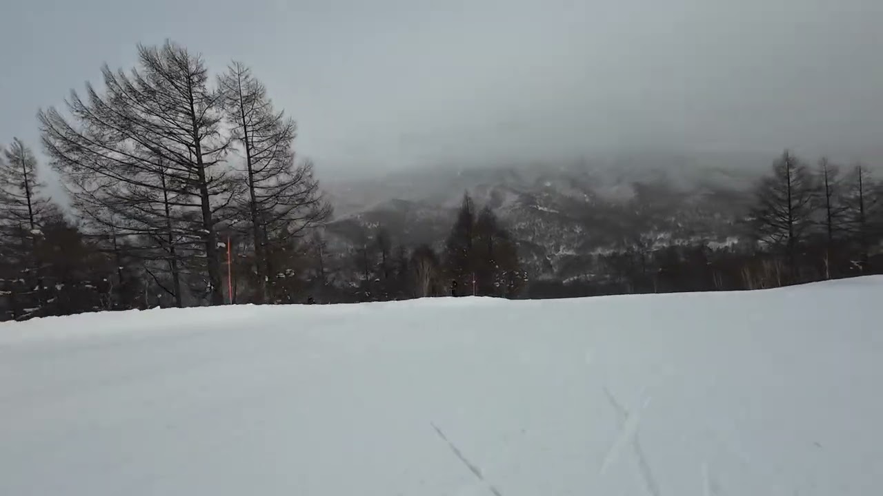 2,026年2月7日　午後15時　奥志賀ダウンヒル
