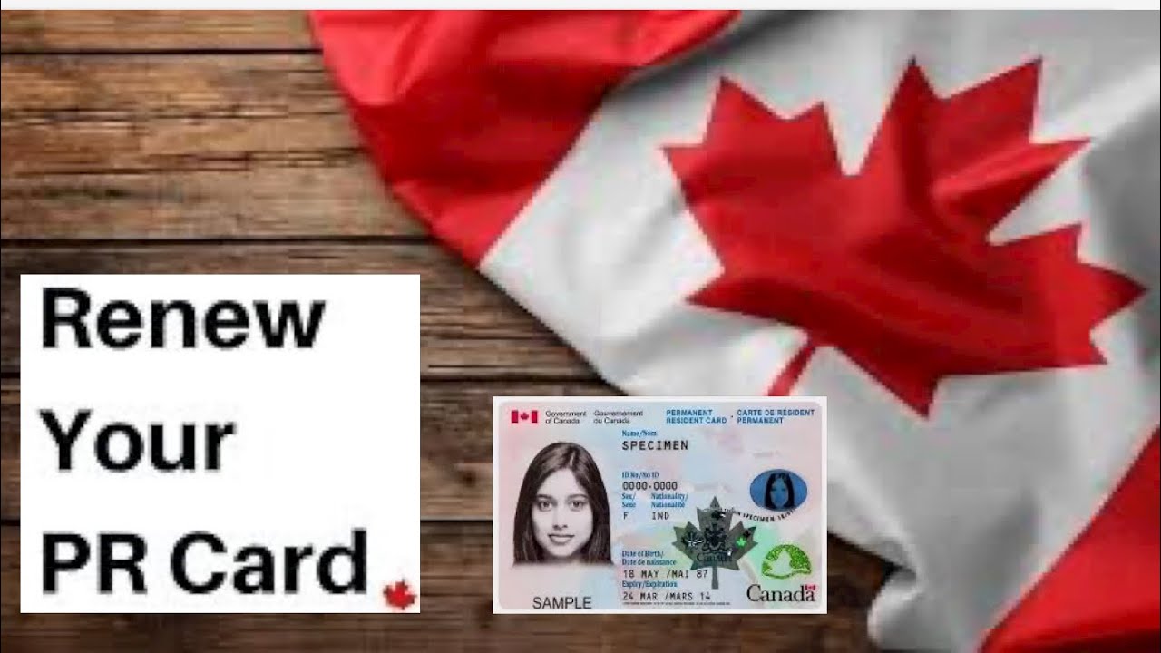 Step by step guide on How to renew PR card online - renew PR card online - Permanent resident card