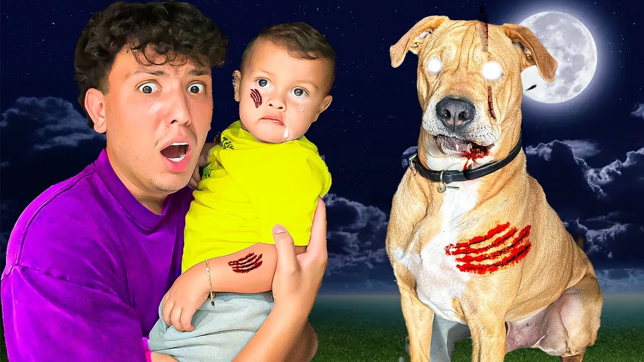 MY POSSESSED DOG ATTACKED THERE SON...