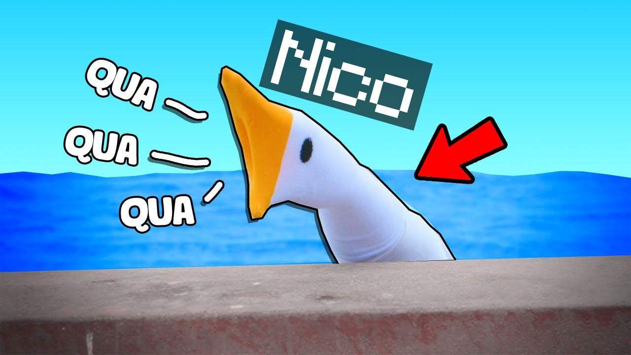 NICO, HA FATTO QUA.