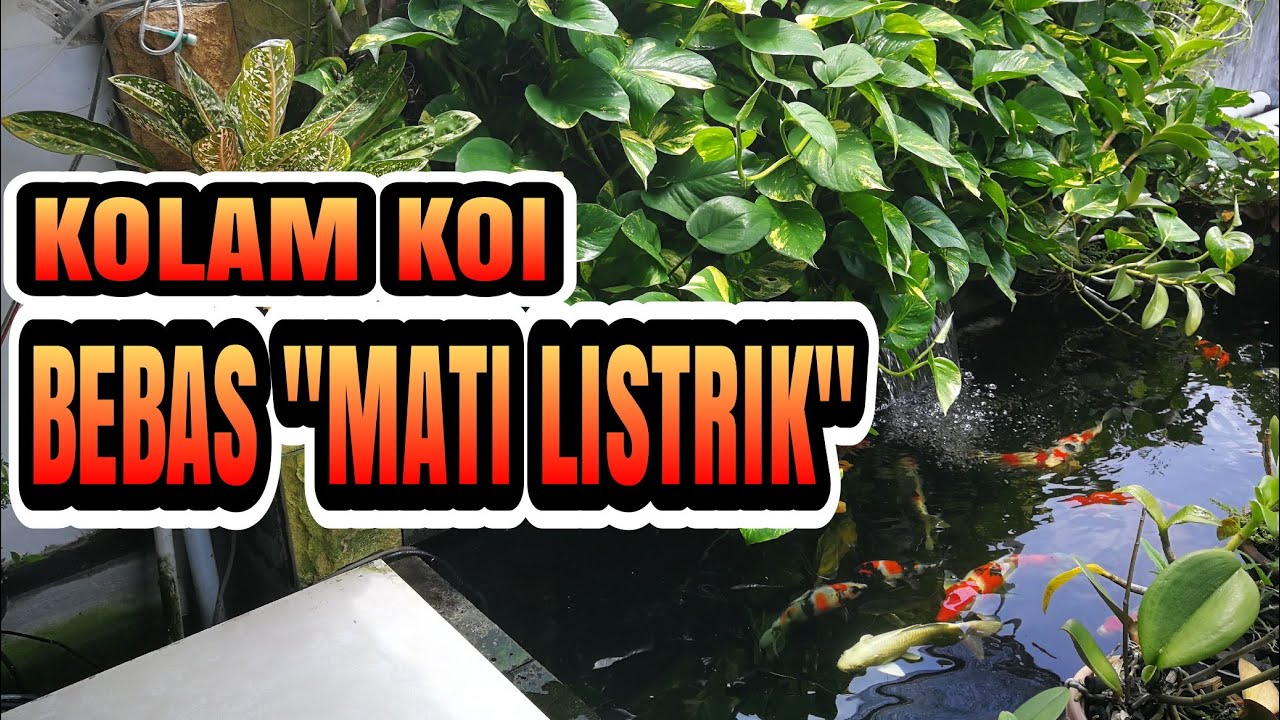 #kolamkoi #PLTS PANEL SURYA UNTUK KOLAM IKAN KOI #inverter