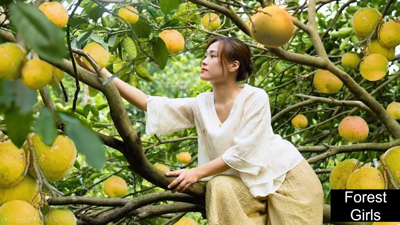 Dien Thanh Tieu Van Harvesting pomelo and banana orchards Going to the market to sell Daily life