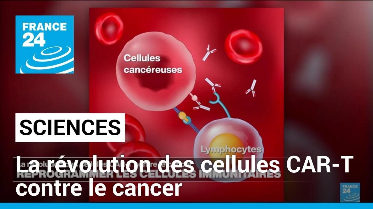 Reprogrammer les cellules immunitaires&nbsp;: la r&eacute;volution des cellules CAR-T contre le cancer