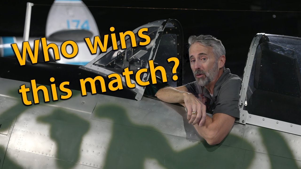 Warhawk vs. Oscar SHOWDOWN! | Curator on the Loose!