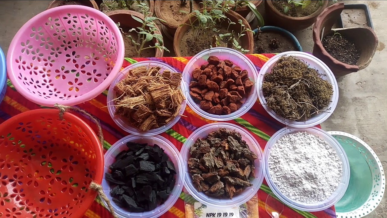 How To Make Orchid Potting Mix At Home/All About Orchids (Potting Mix, Care And Tips)