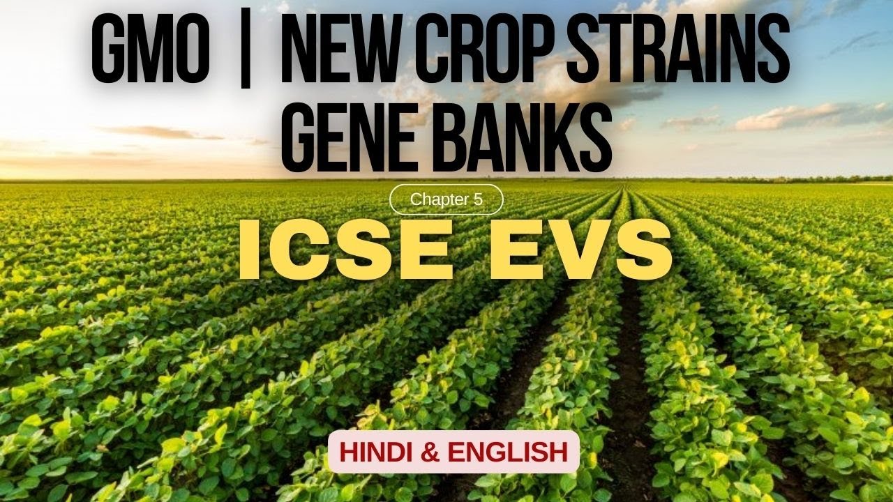 Chapter 5 - Food (Part 2) Hindi/English  | Easy explanation | ICSE |  Environmental Science