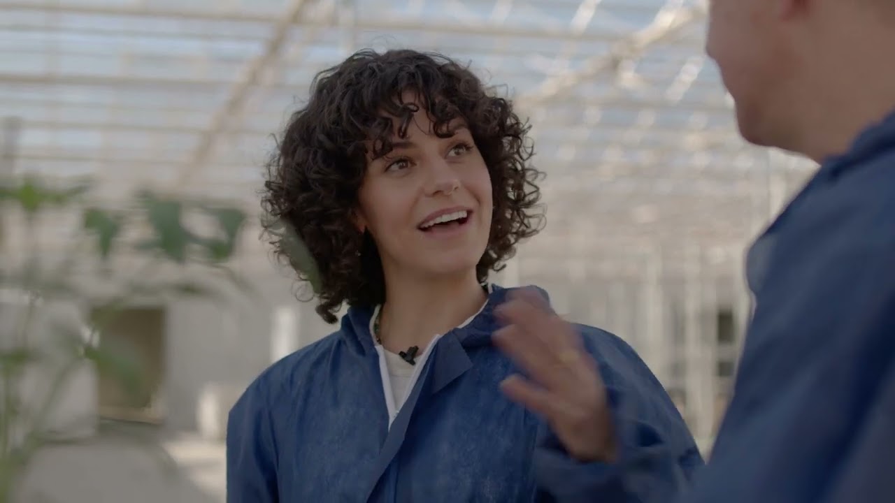 The Back Story | Flavorite &ndash; Tomatoes