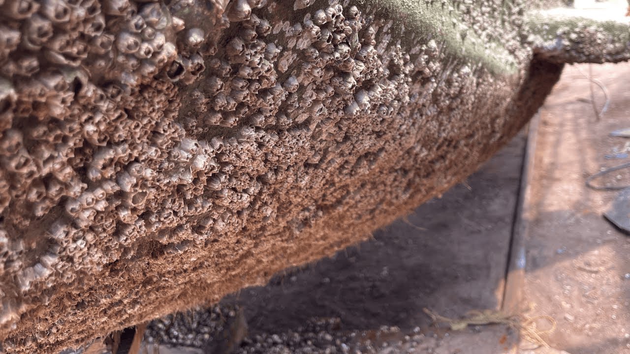 Satisfying ASMR Barnacles Removal – Deep Cleaning on Boat with Pure Scraping Sounds (No Talking)