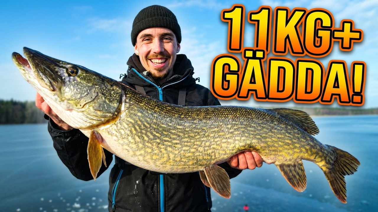 DR&Ouml;MFISKE: V&aring;rt B&Auml;STA G&auml;ddfiske P&aring; 72 TIMMAR &rarr; 11kg+ G&auml;dda ⚠️