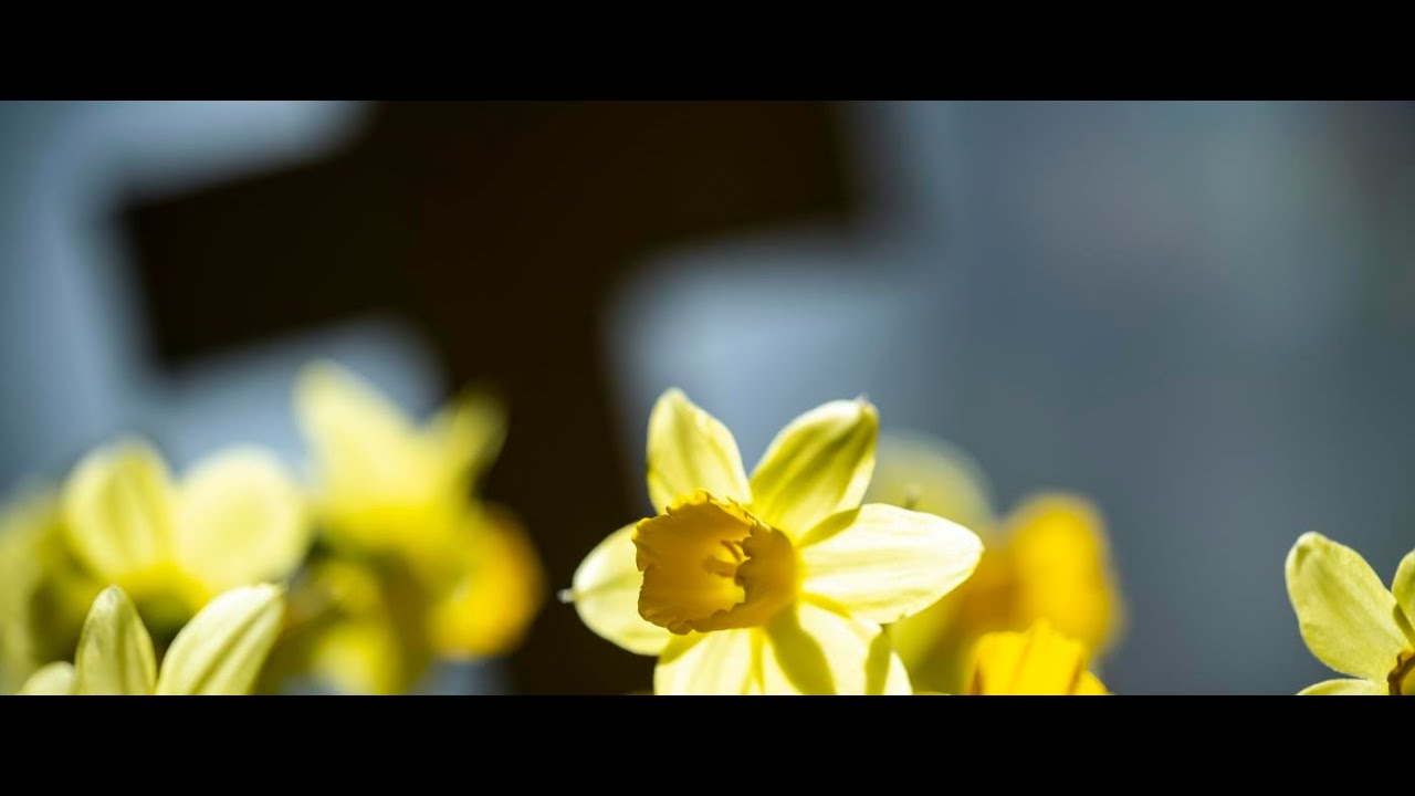 Resurrexit! - Musik i påsktid - Kom med glädje och med sång