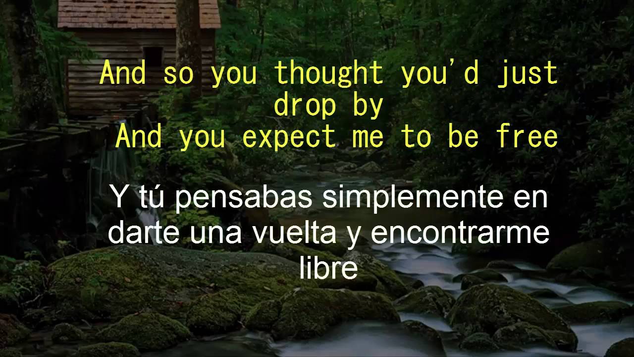 Cake - I will survive (Lyrics-Letra)