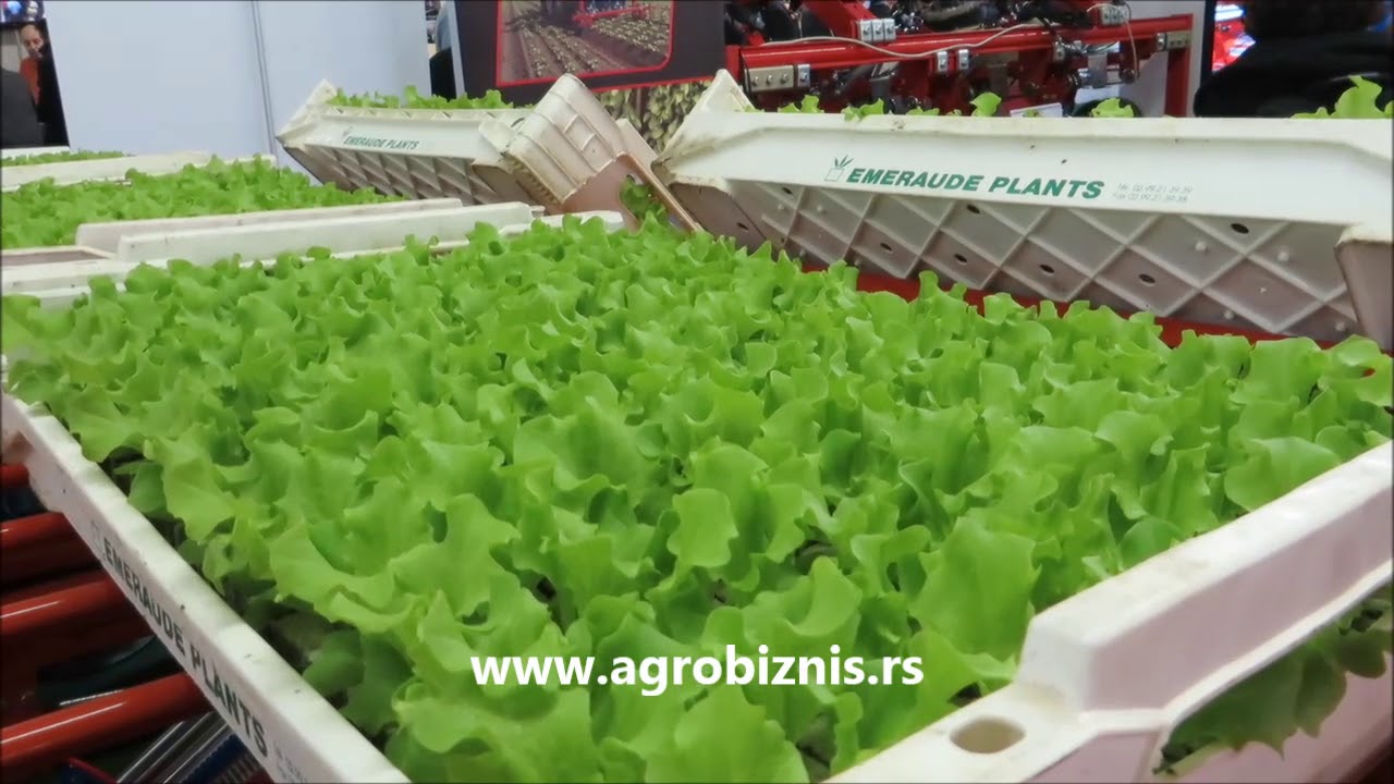 Povrtarstvo - inovacije - sajam SIAL u Francuskoj