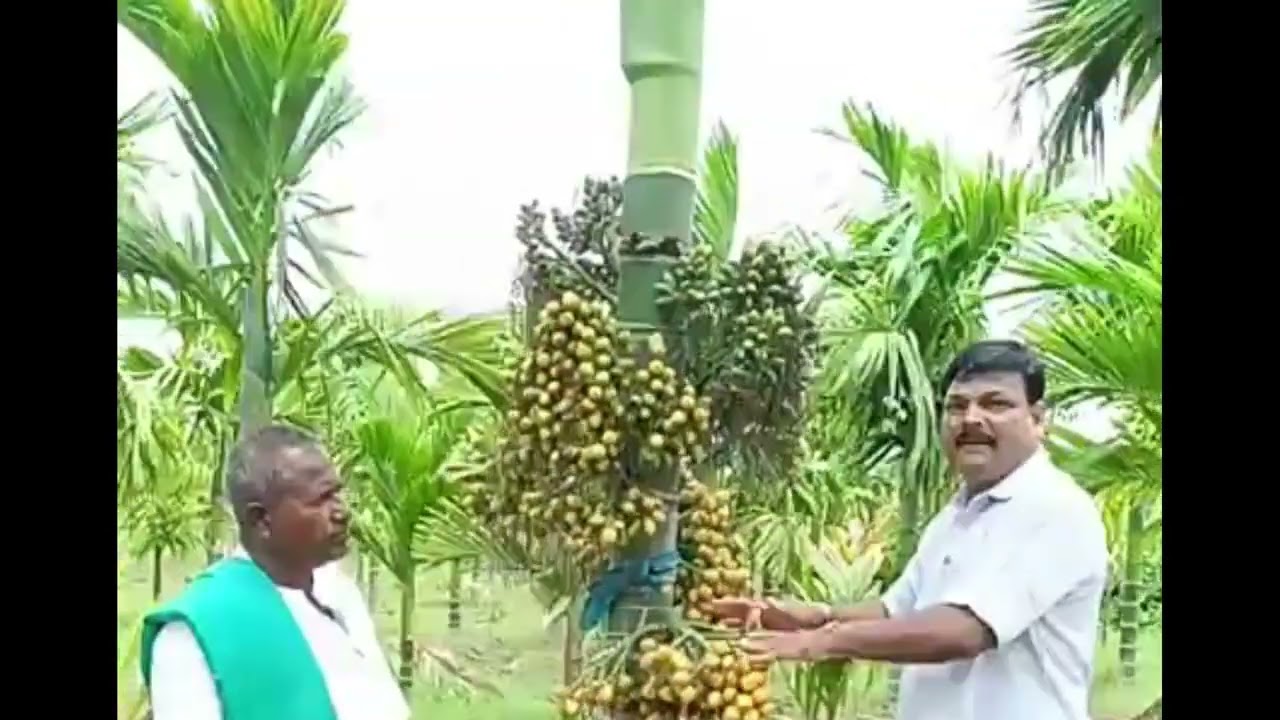 ಗ್ರೋವೆಲ್ ಕಂಪನಿ ರೈತರ ಹಿತ ರಕ್ಷಕ, 15 ಎಕರೆ ಜಮೀನನ್ನು ಸಾವಯವ ಕೃಷಿಗೆ ಮೀಸಲಿಟ್ಟ ರೈತ