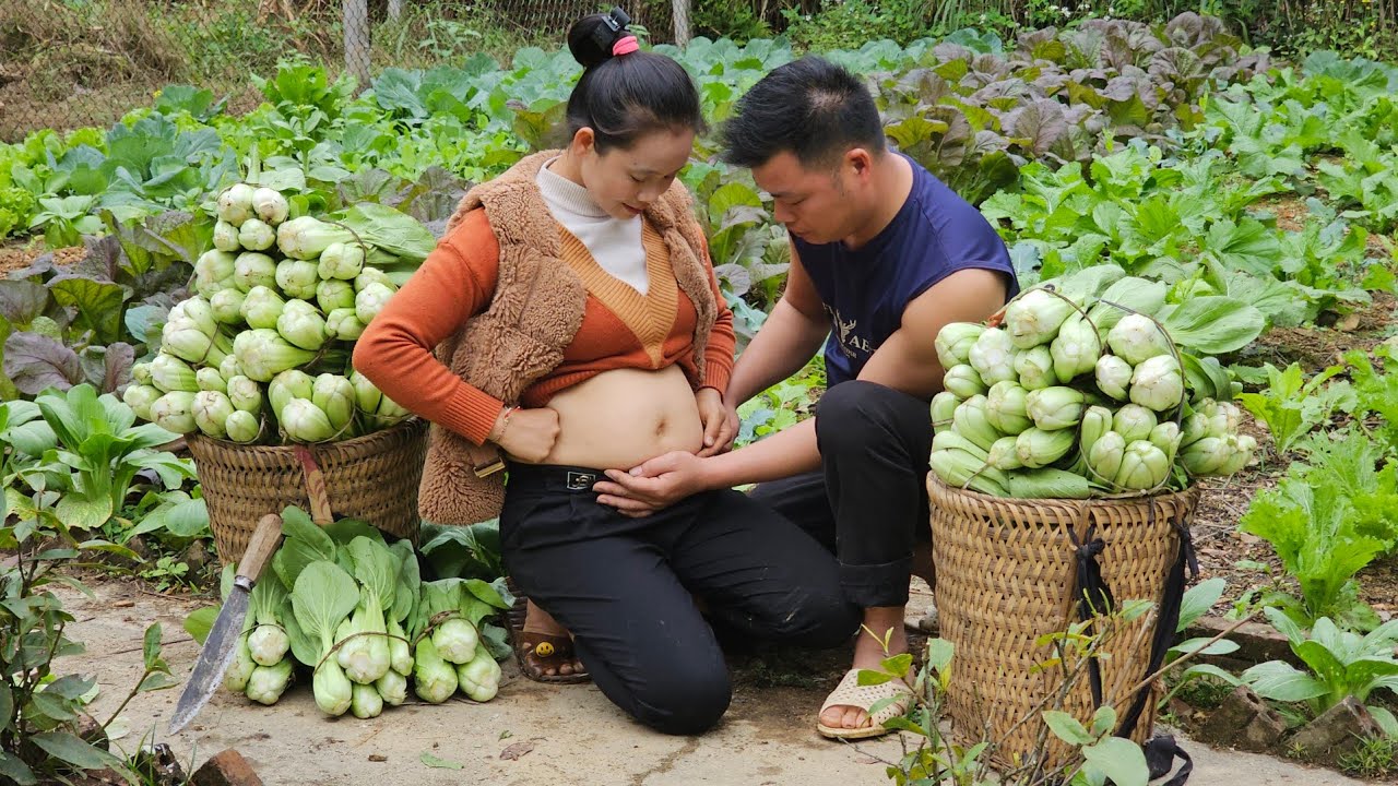 Harvesting bok choy from the garden, Cooking l L&yacute; Thị Sai