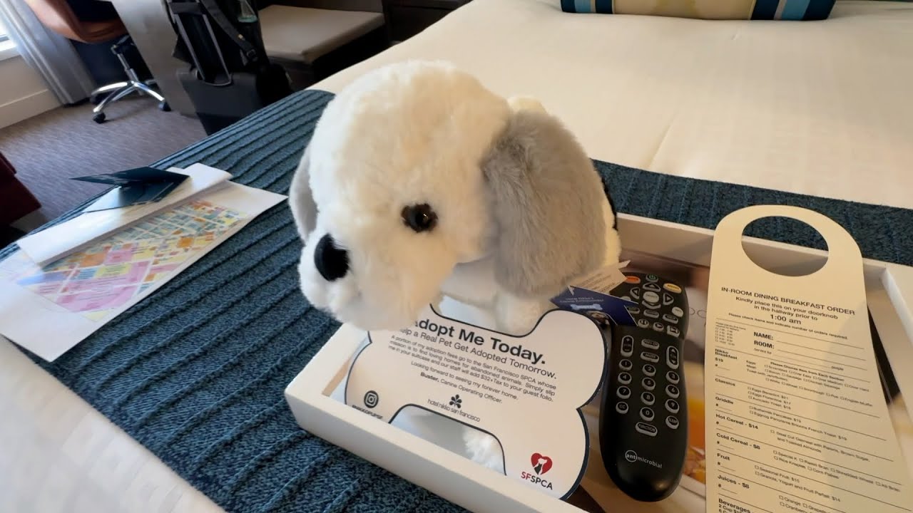 Hotel Nikko San Francisco Room Review (1825)