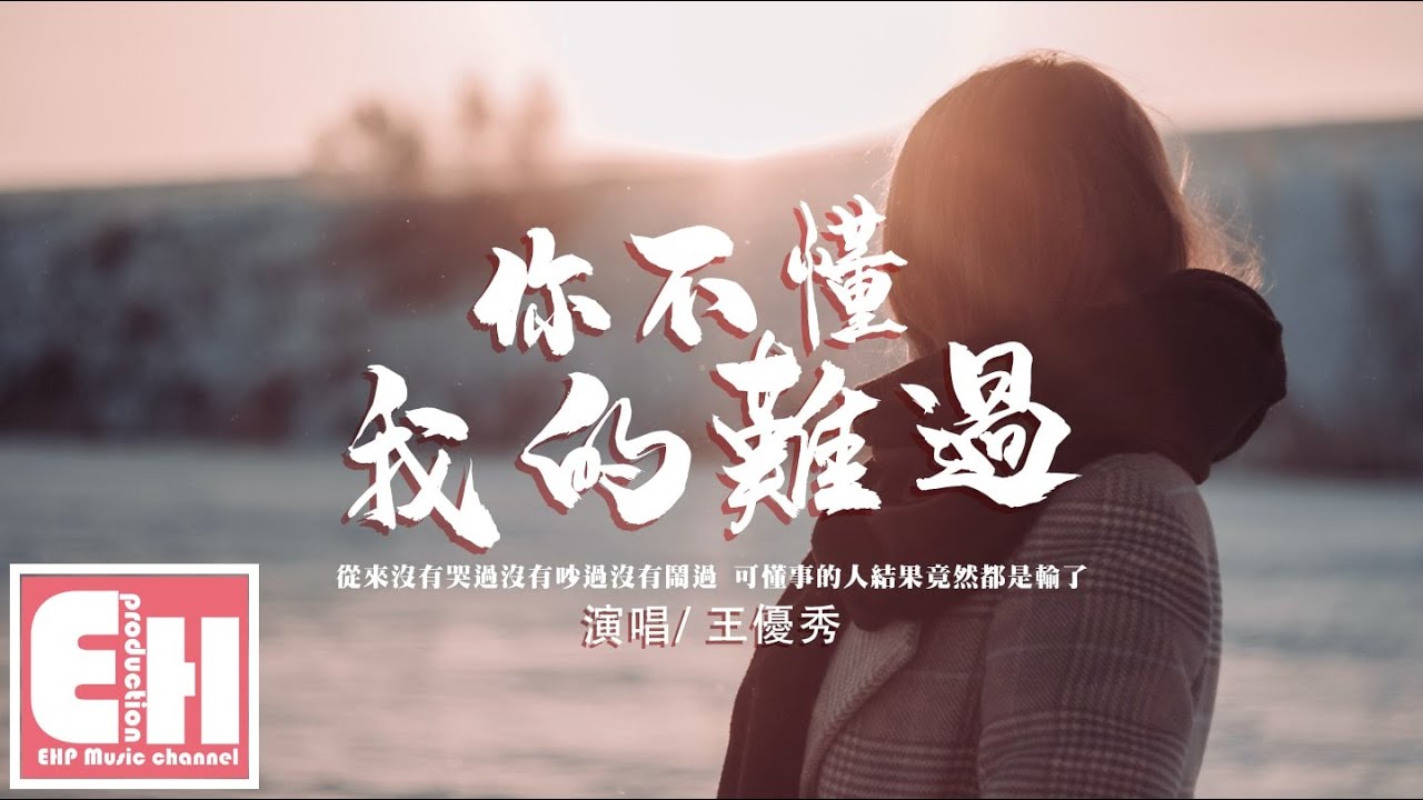 王優秀 - 你不懂我的難過『從來沒有哭過沒有吵過沒有鬧過，可懂事的人結果竟然都是輸了。』【動態歌詞/Vietsub/Pinyin Lyrics】