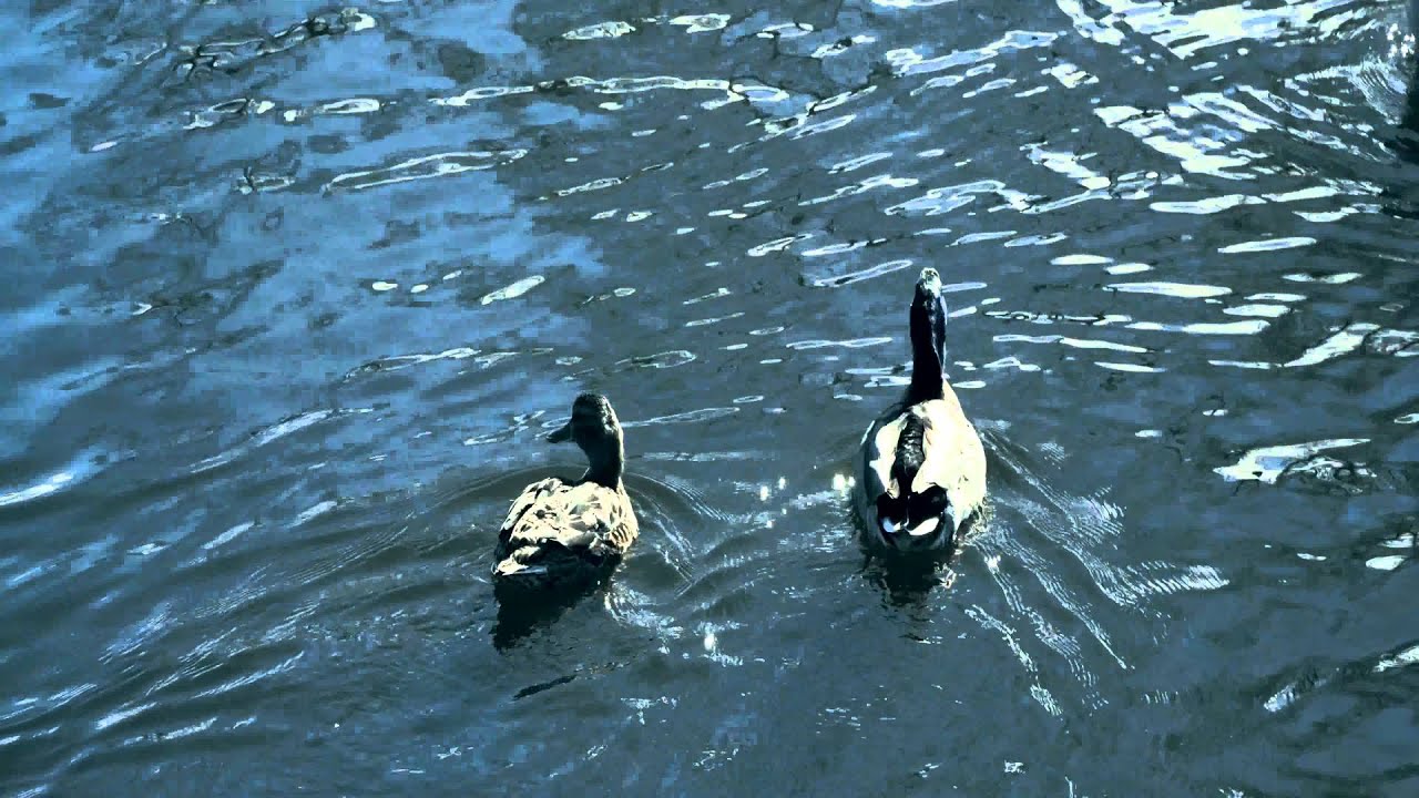 Spring in Tistedal