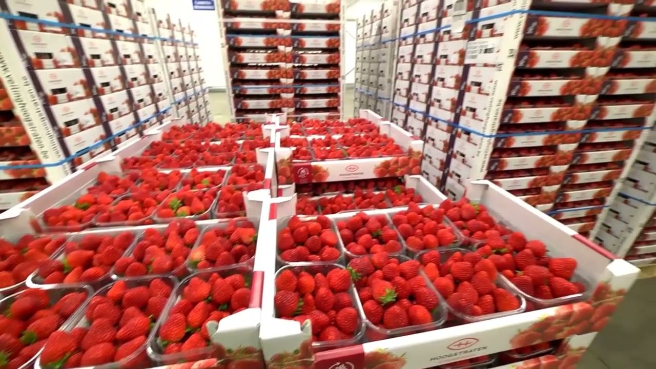 Africa's Largest Agrotourism City