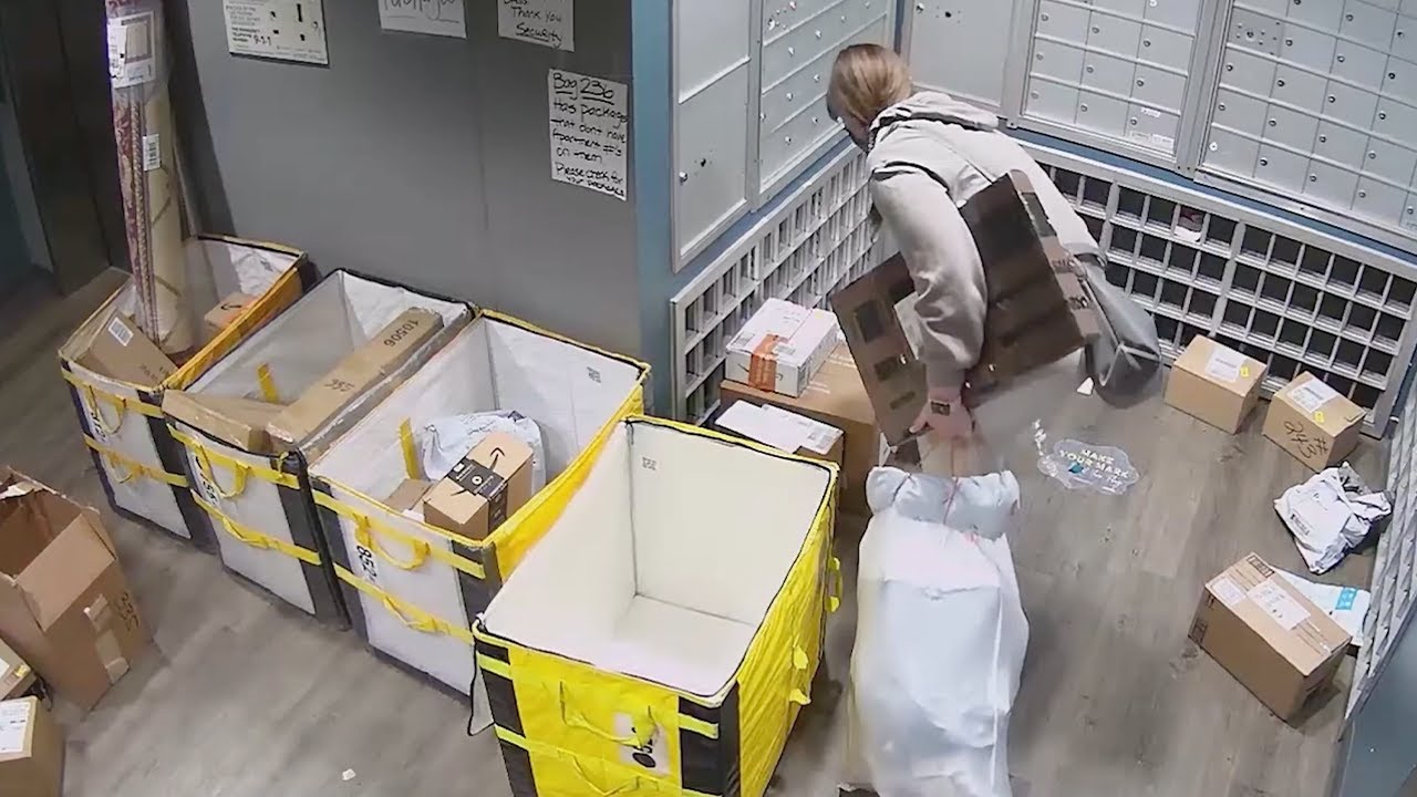 Arrest of Apartment Package Thief